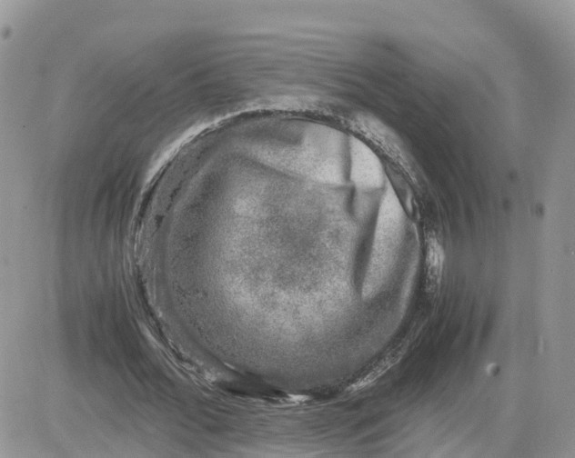 X0000081570676200701291215