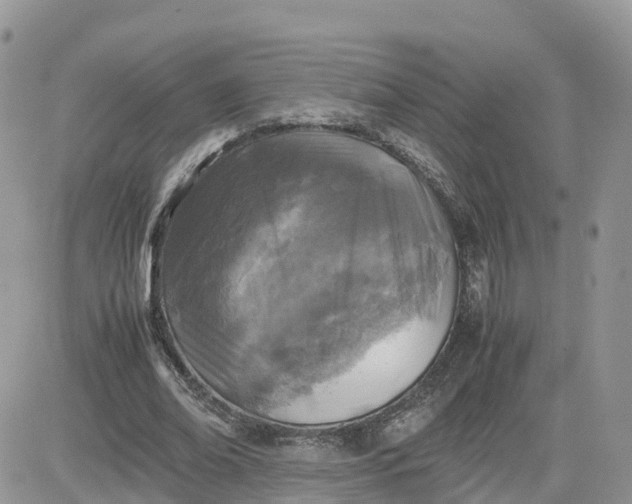 X0000081570678200701291215