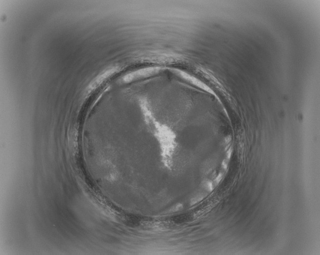 X0000081570679200701291215