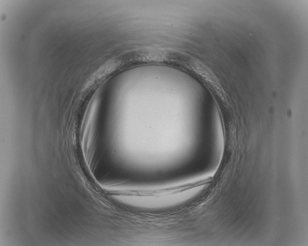 X0000081570681200701291215