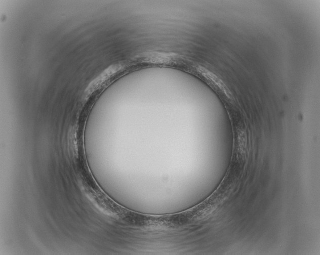 X0000081570682200701291215