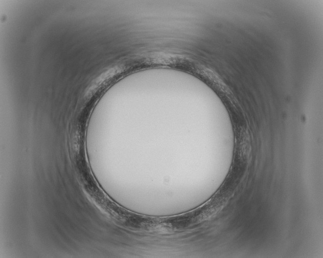 X0000081570683200701291215