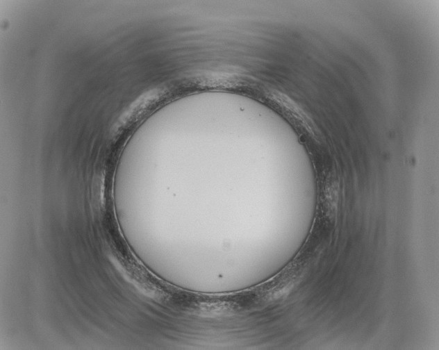 X0000081570686200701291215