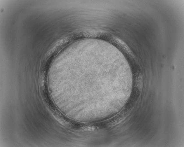 X0000081570687200701291215