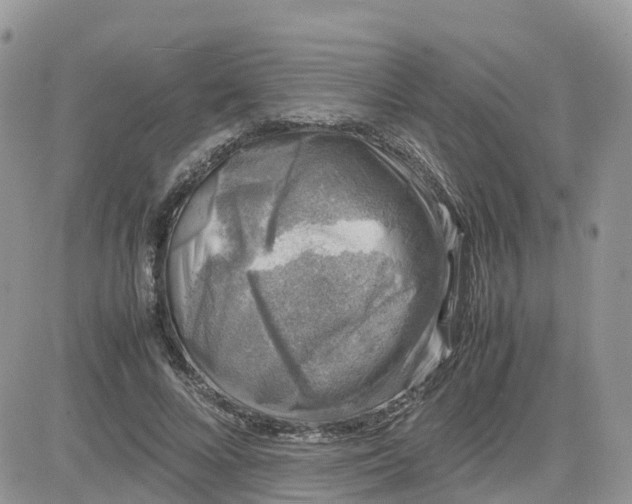 X0000081570688200701291215