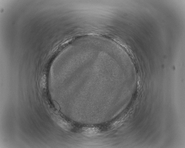 X0000081570689200701291215