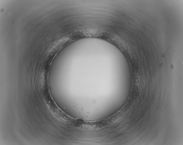 X0000081570690200701291215