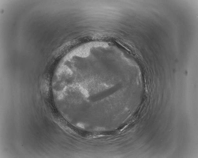 X0000081570691200701291215