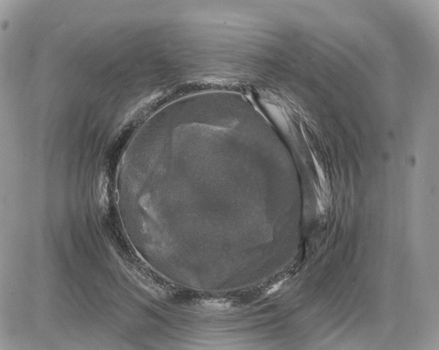 X0000081570692200701291215