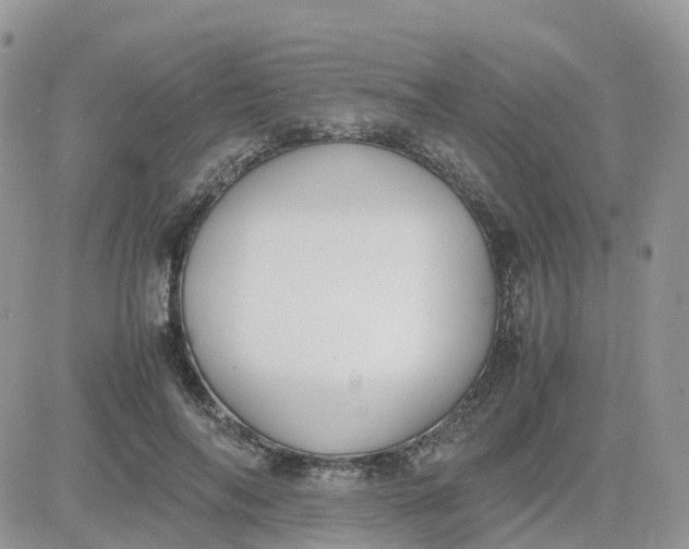 X0000081570694200701291215