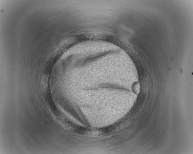 X0000081570695200701291215