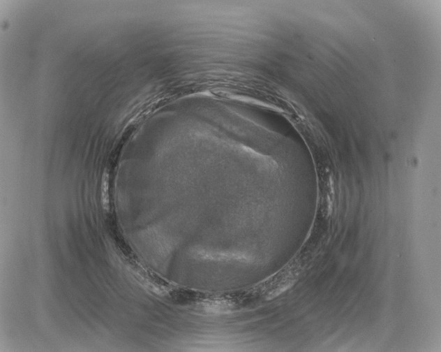 X0000081570696200701291215