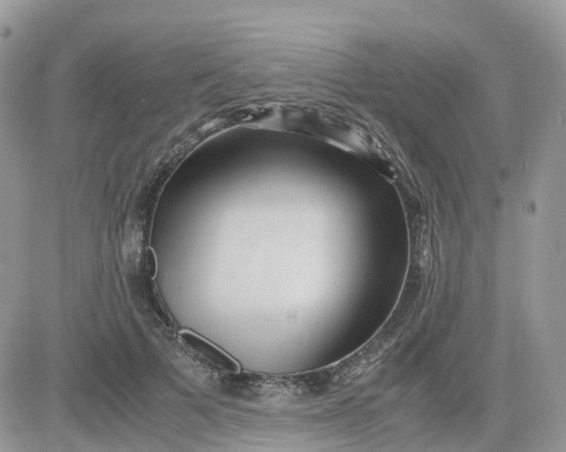 X0000081570697200701291215