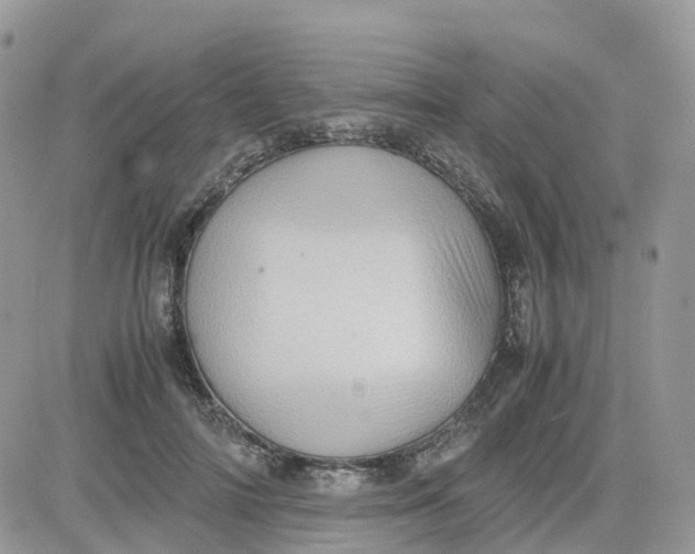 X0000081570698200701291215