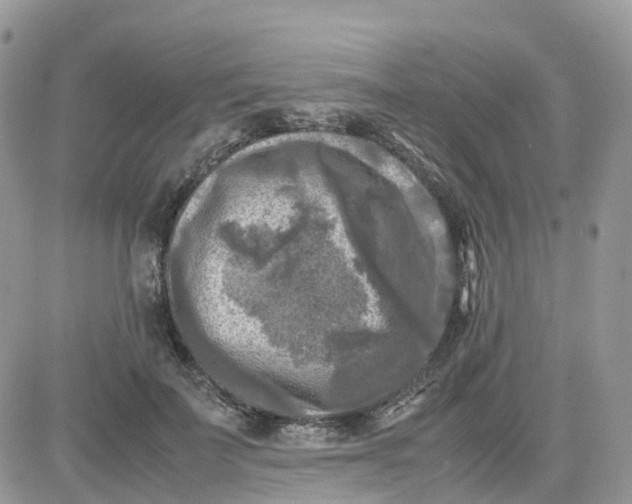 X0000081570699200701291215