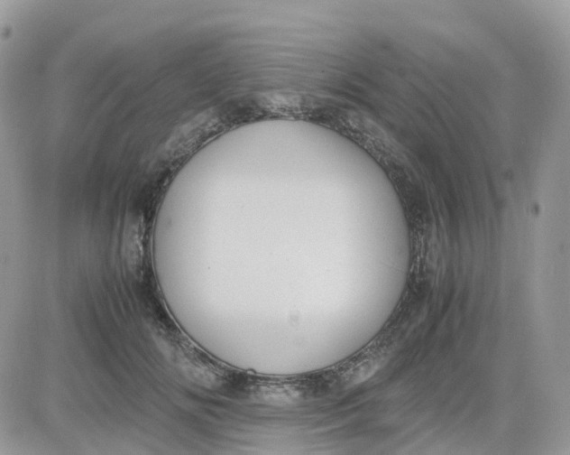 X0000081570702200701291215