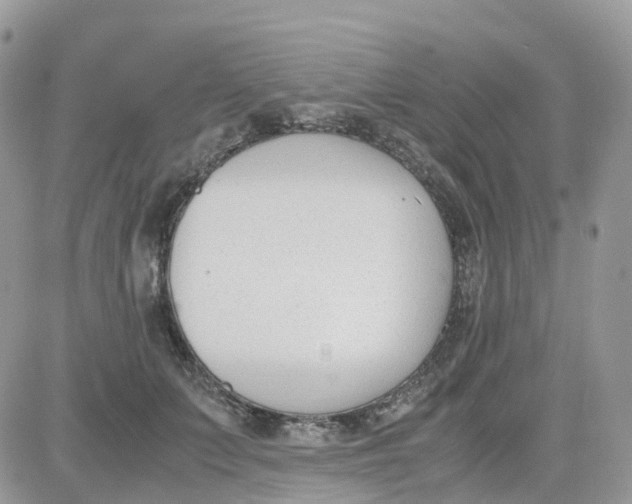 X0000081570703200701291215