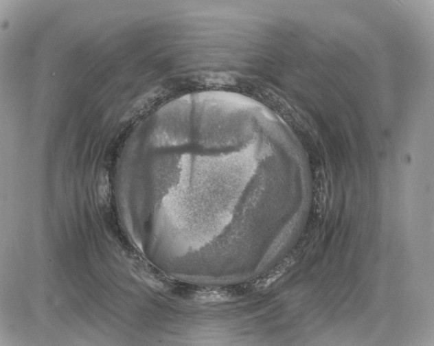 X0000081570704200701291215