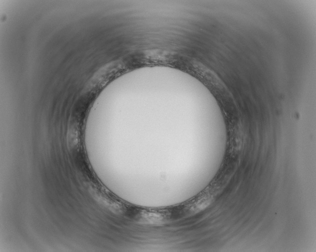 X0000081570706200701291215