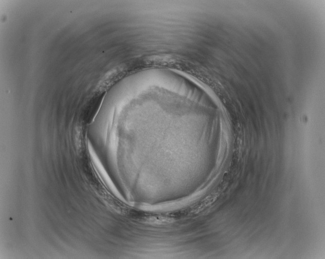 X0000081570708200701291215