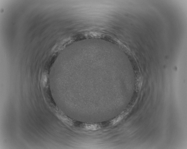 X0000081570709200701291215