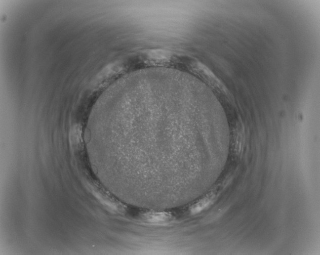 X0000081570711200701291215