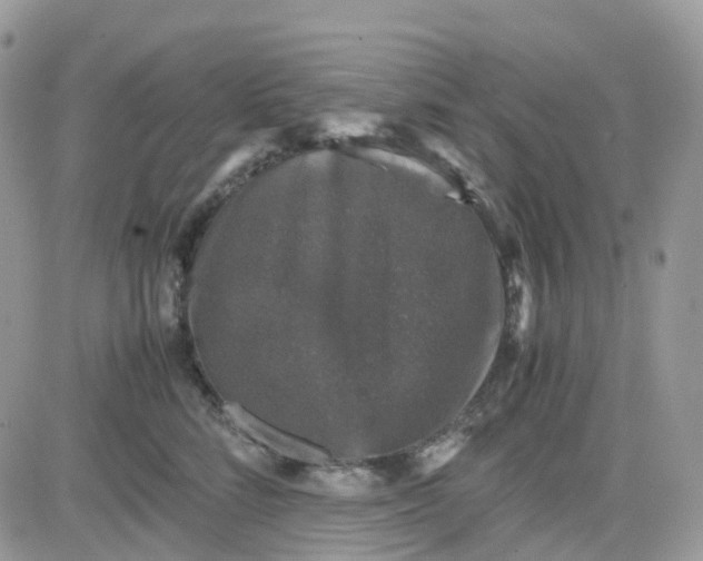 X0000081570712200701291215