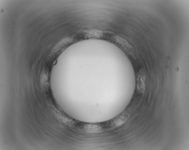 X0000081570714200701291215