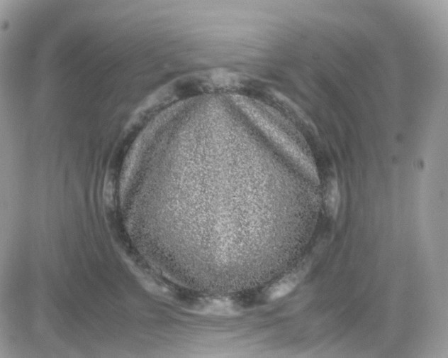 X0000081570715200701291215