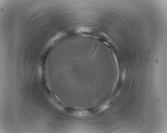 X0000081570716200701291215