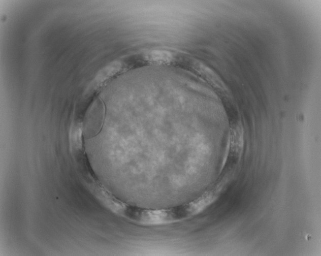 X0000081570717200701291215