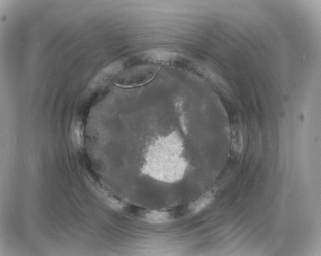 X0000081570718200701291215