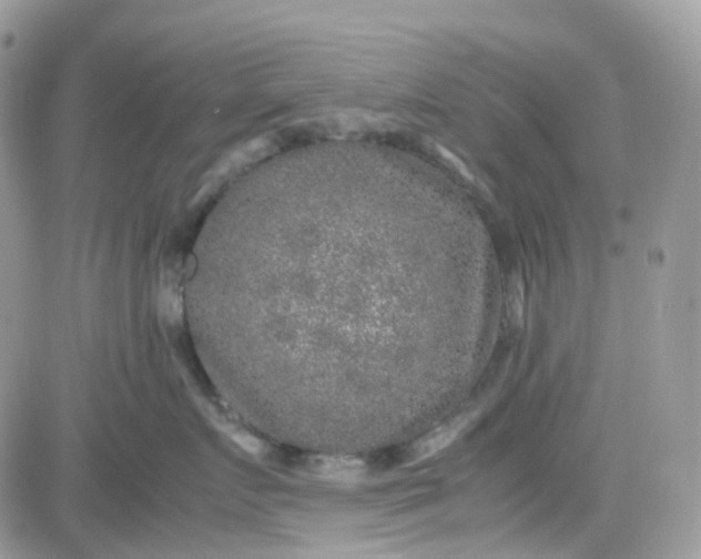 X0000081570719200701291215