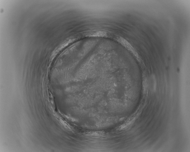 X0000081570721200701291214