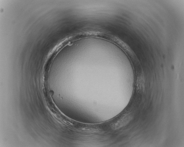 X0000081570722200701291214