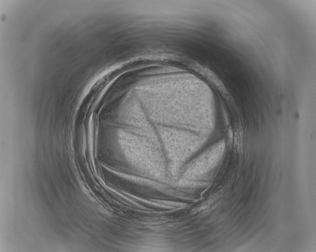 X0000081570724200701291214