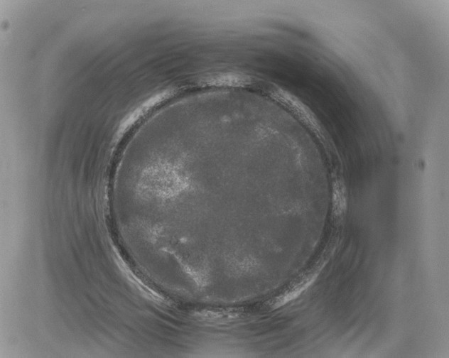 X0000081570725200701291214