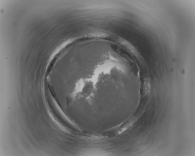 X0000081570726200701291214