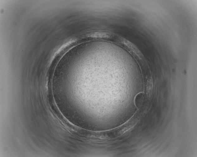 X0000081570727200701291214