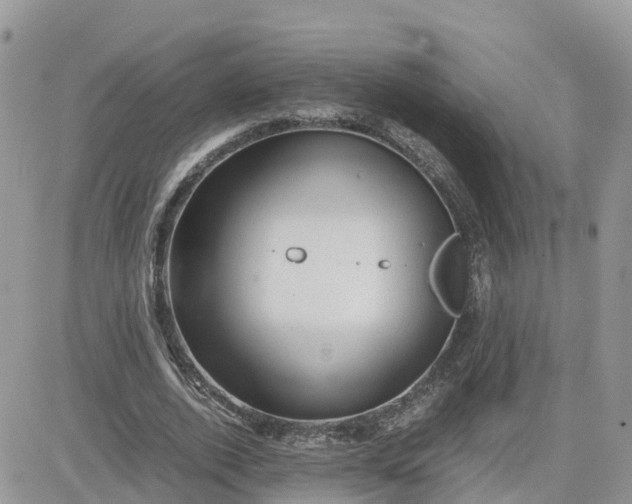 X0000081570728200701291214