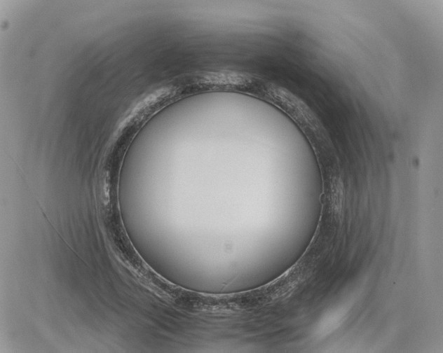 X0000081570731200701291214