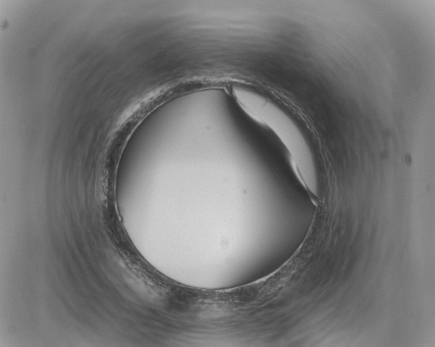 X0000081570732200701291214