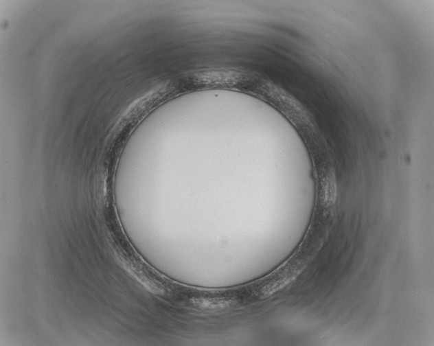 X0000081570733200701291214