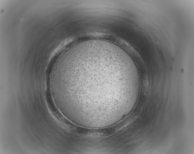 X0000081570734200701291214