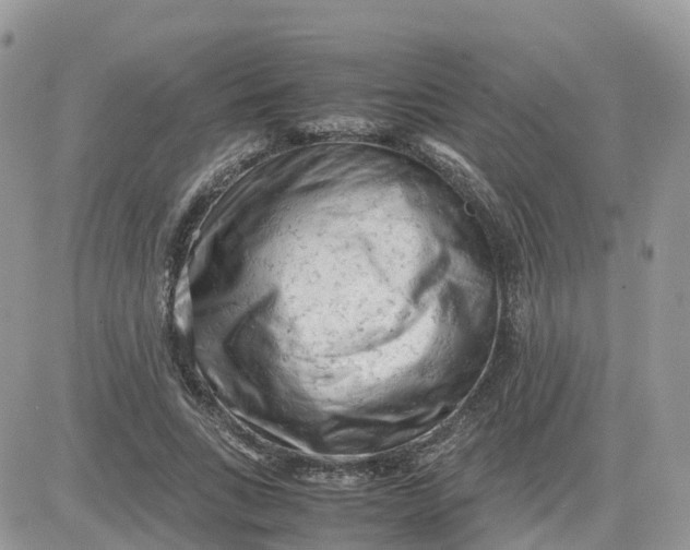 X0000081570735200701291214