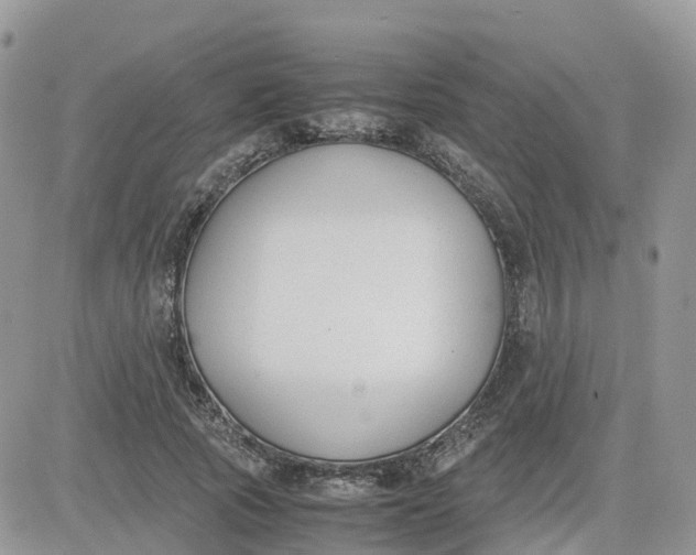 X0000081570737200701291214