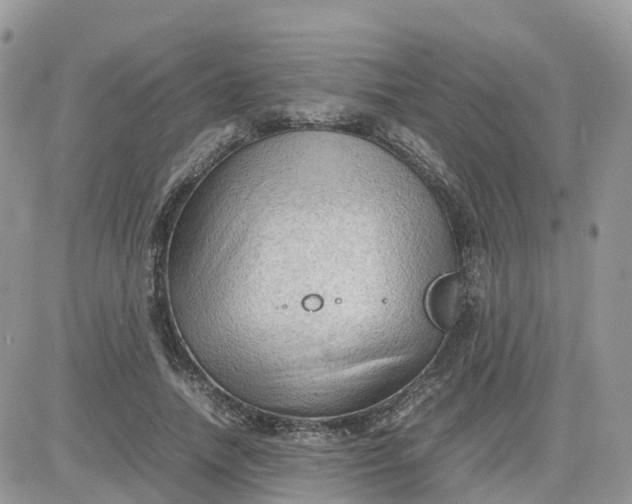 X0000081570738200701291214