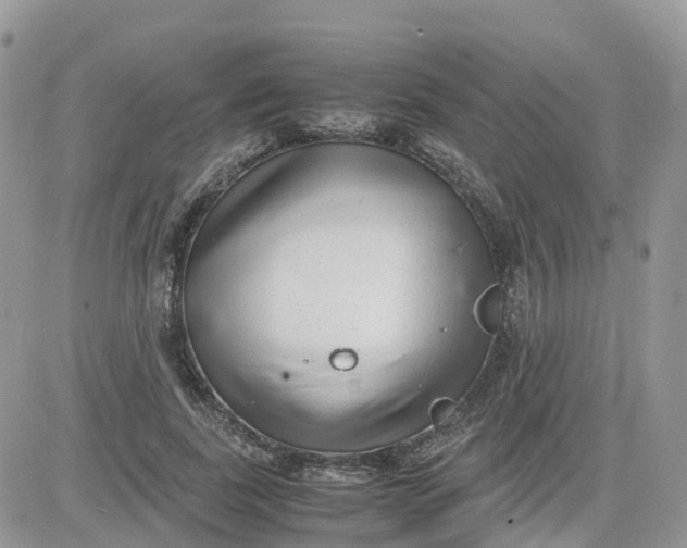 X0000081570739200701291214