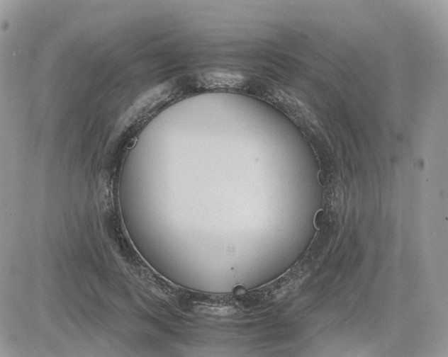 X0000081570743200701291214