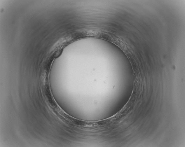 X0000081570744200701291214